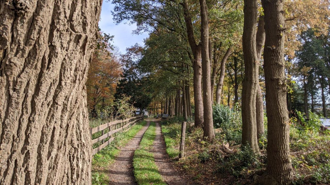 Chalet Op De Veluwe # Eiken Путен Екстериор снимка