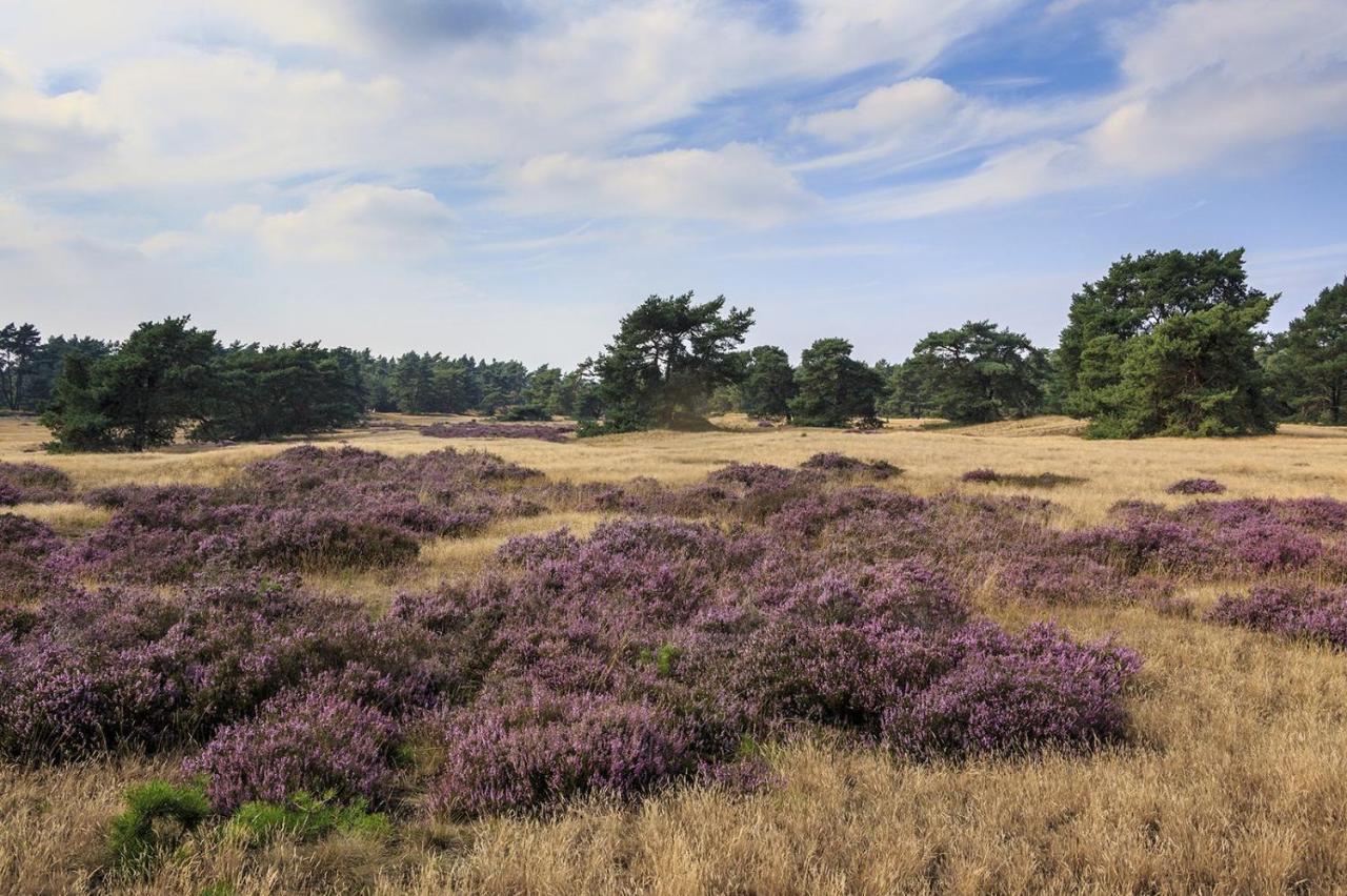 Chalet Op De Veluwe # Eiken Путен Екстериор снимка