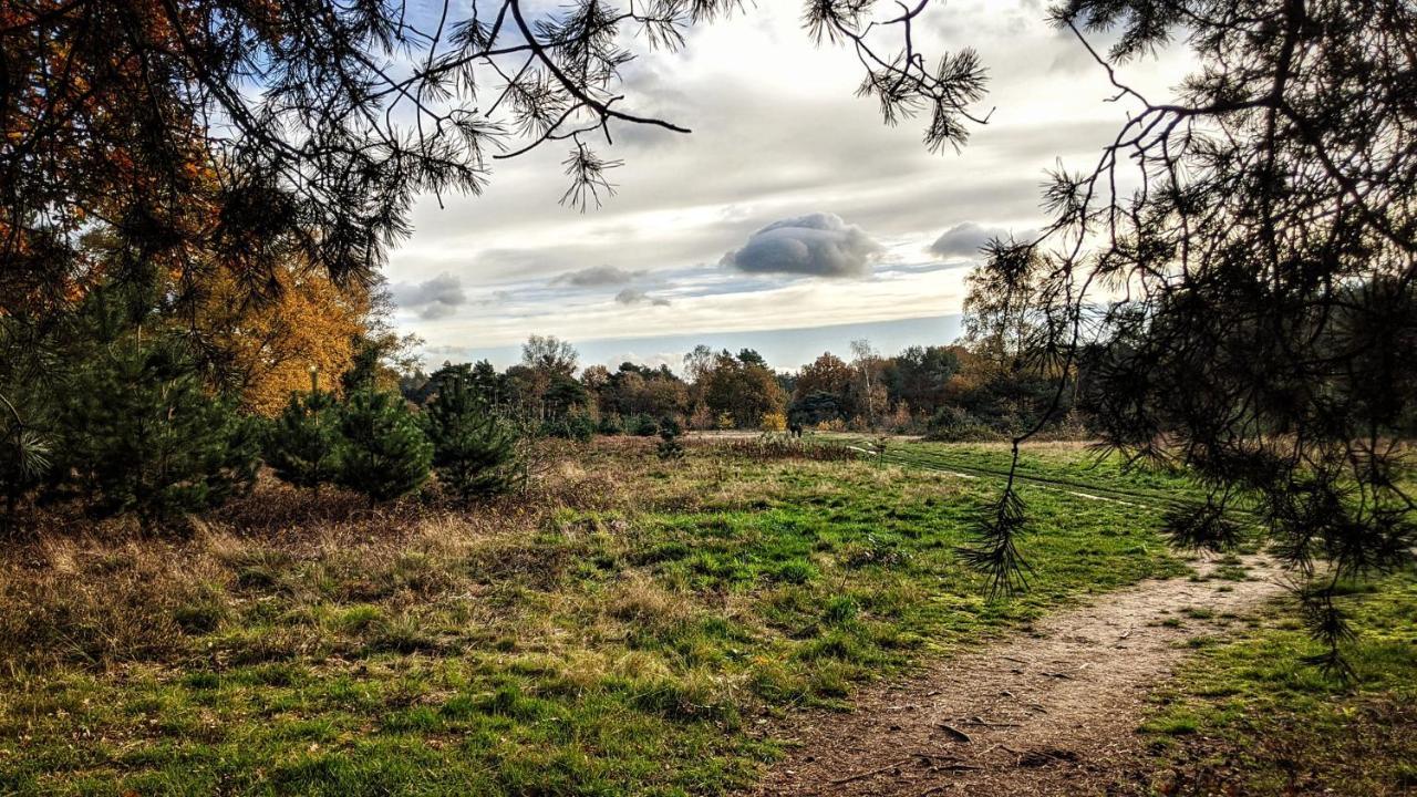 Chalet Op De Veluwe # Eiken Путен Екстериор снимка